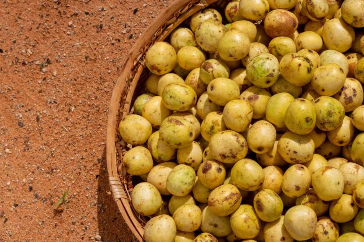 Marula Oil Benefits: The Lightweight Yet Powerful Hydrator for All Skin Types