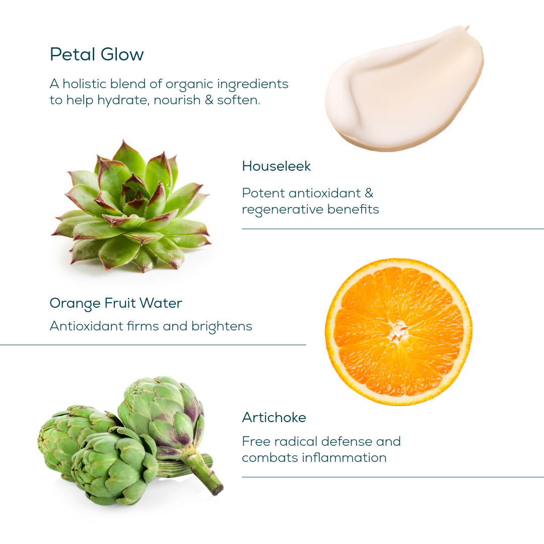 Petal Glow - Moisturizer